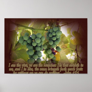 Vine and Branches John 15:5 Poster Print