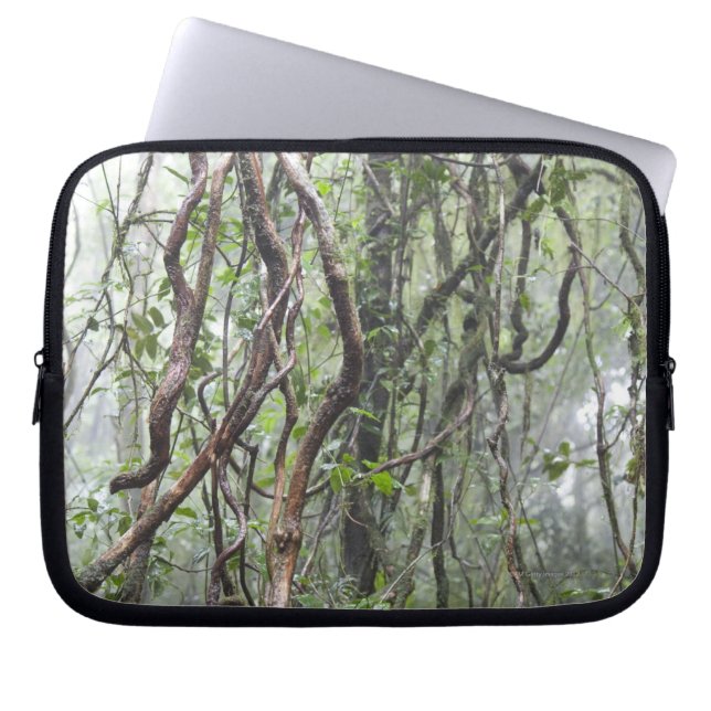 vine and branches twisted in rainforest laptop sleeve (Front)