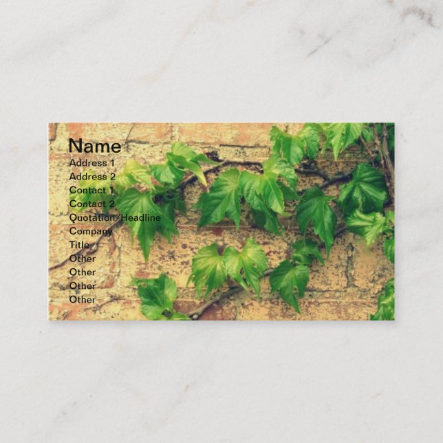 Vine and Brick Business Card (Front)