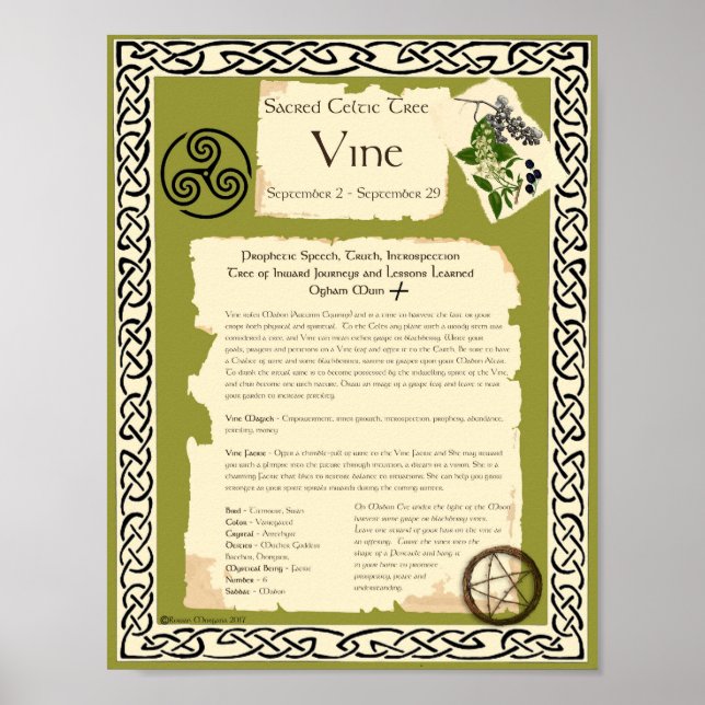 VINE CELTIC SACRED TREE POSTER (Front)