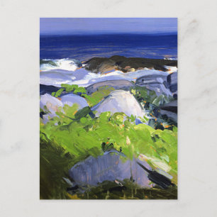 Vine Clad Shore, Monhegan Island, Maine, Postcard