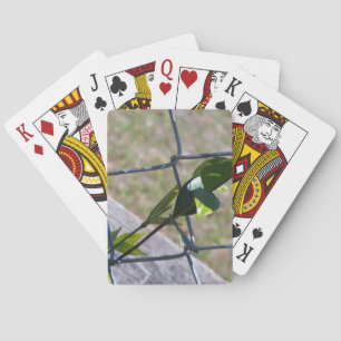 vine on a chain link fence life finds a way playing cards