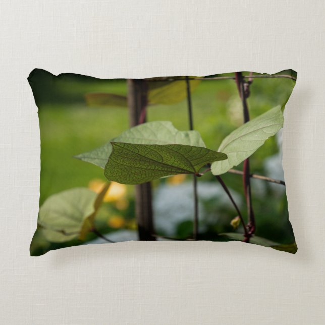 Vine on Trellis Decorative Cushion (Front)