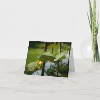 Vine on Trellis Thank You Card