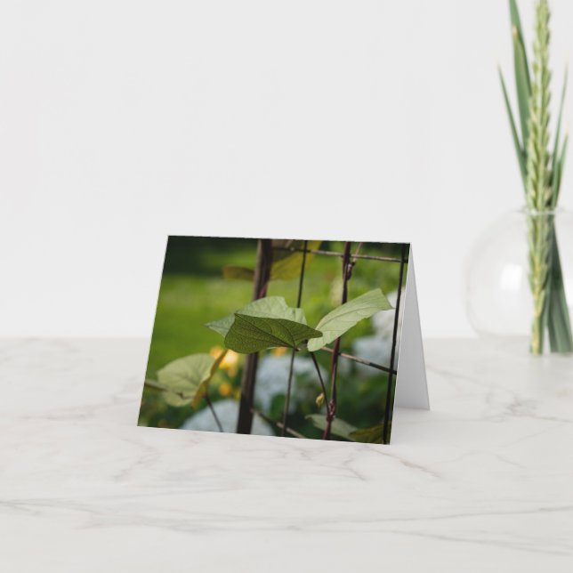 Vine on Trellis Thank You Card (Front)