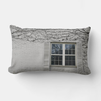 Vine Surrounding Window Lumbar Cushion