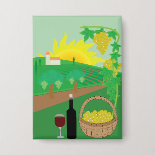 Vineyard