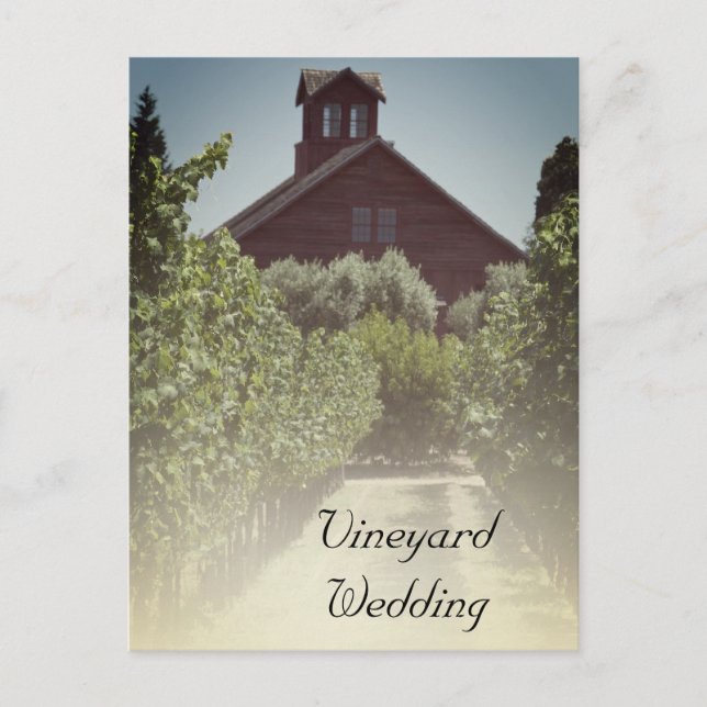 Vineyard and Rustic Barn Wedding Save the Date Announcement Postcard (Front)