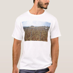 vineyard in Burgundy France meursault côte-d'or T-Shirt