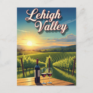 Vineyard in Lehigh Valley Pennsylvania Travel Postcard