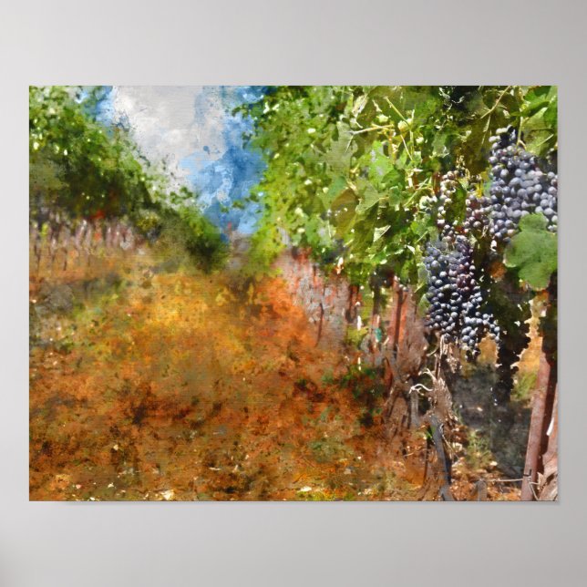 Vineyard in Napa Valley California Poster (Front)