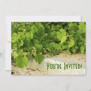 Vineyard Invitation