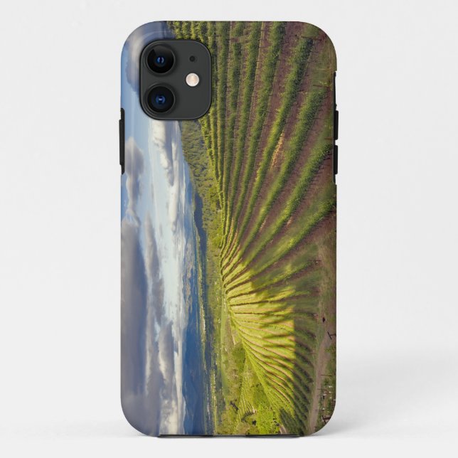 Vineyard. Napa Valley. Napa. Napa County, Case-Mate iPhone Case (Back)