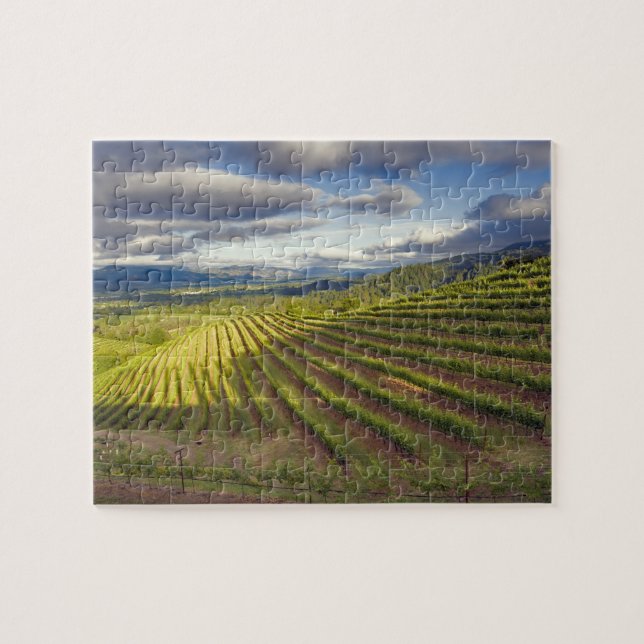 Vineyard. Napa Valley. Napa. Napa County, Jigsaw Puzzle (Horizontal)