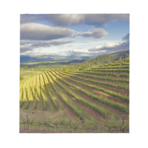 Vineyard. Napa Valley. Napa. Napa County, Notepad