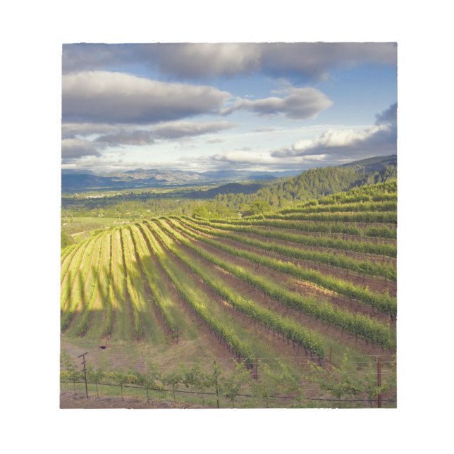 Vineyard. Napa Valley. Napa. Napa County, Notepad (Front)