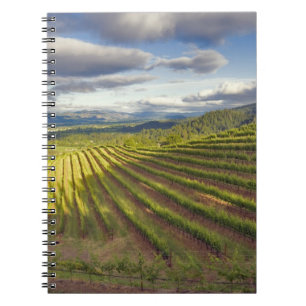 Vineyard. Napa Valley. Napa. Napa County, Spiral Notebook