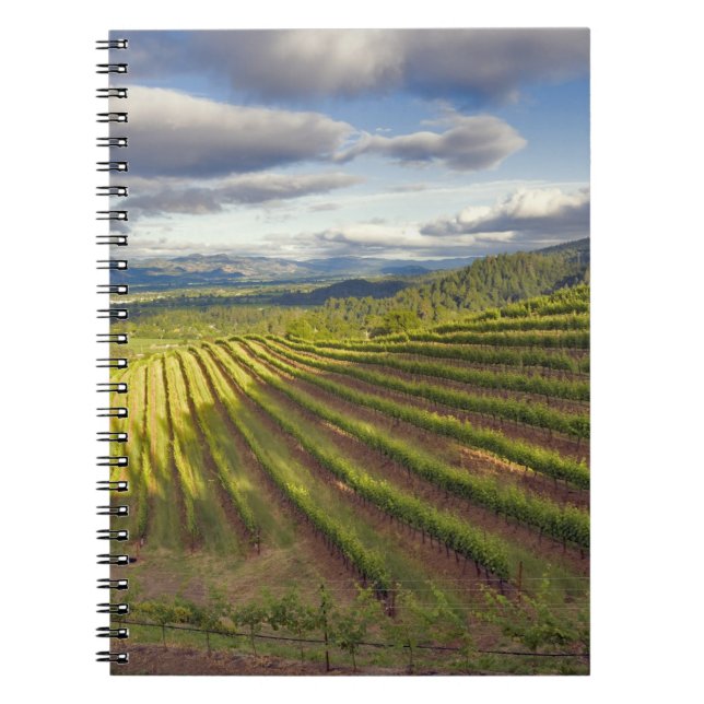 Vineyard. Napa Valley. Napa. Napa County, Spiral Notebook (Front)