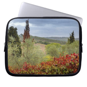 Vineyard near Montalcino, Tuscany, Italy Laptop Sleeve