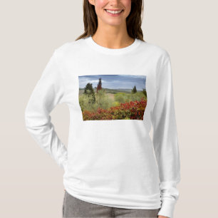 Vineyard near Montalcino, Tuscany, Italy T-Shirt