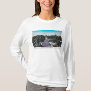 Vineyard Scene of Grapes DryingKingsburg, CA T-Shirt