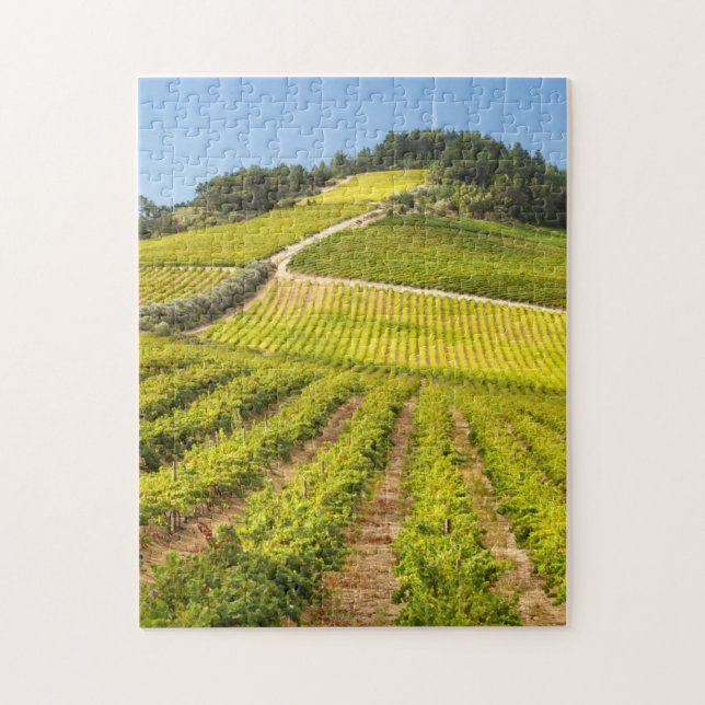 Vineyard, Stellenbosch, Western Cape Jigsaw Puzzle (Vertical)
