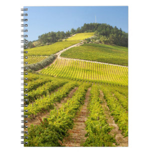 Vineyard, Stellenbosch, Western Cape Notebook