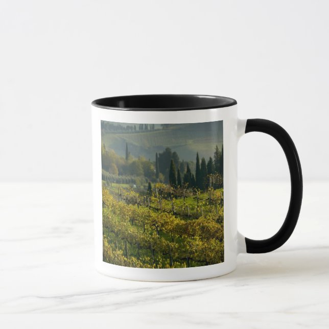 Vineyard, Tuscany, Italy Mug (Right)