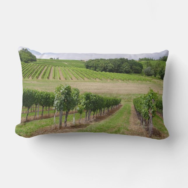 Vineyard - Vineyard (Bordeaux - France) 03 Lumbar Cushion (Front)