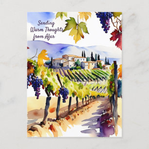 Vineyard watercolor thinking of you postcard