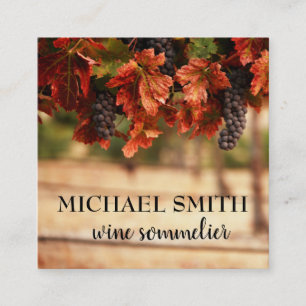 Vineyard / Wine Sommelier Square Business Card