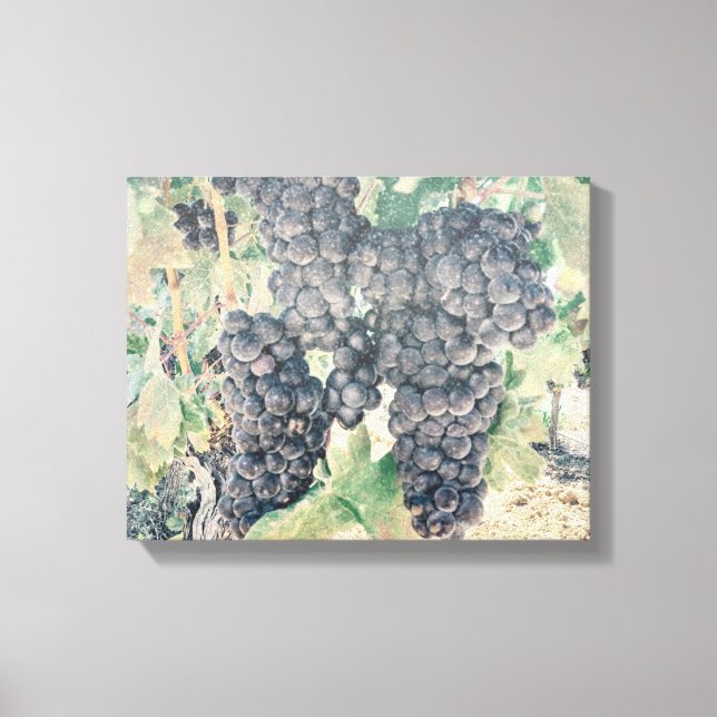 *~* Vineyard Winery Grape Cluster AR21 Wine Cellar Canvas Print (Front)