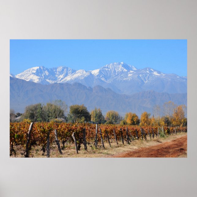 Vineyards In The Fall Of Mendoza, Argentina Poster (Front)