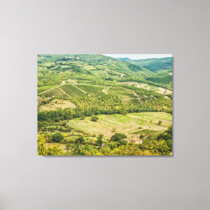 Vineyards landscapes in the morning in Chianti. Canvas Print