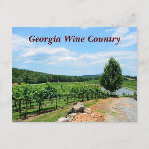 Vineyards of Georgia, USA Postcard