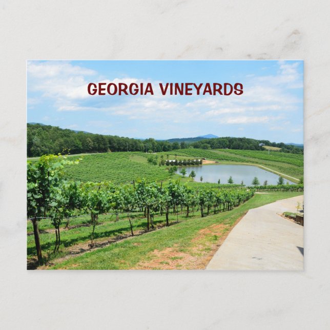 Vineyards of Georgia, USA Postcard (Front)