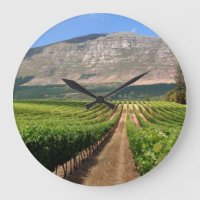 Vineyards Of Groot Constantia Wine Estate