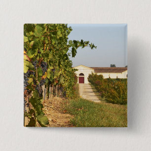 Vineyards, petit verdot vines and the winery in 15 cm square badge