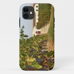 Vineyards, petit verdot vines and the winery in Case-Mate iPhone case