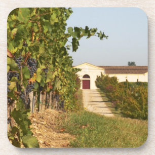 Vineyards, petit verdot vines and the winery in coaster