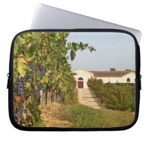 Vineyards, petit verdot vines and the winery in laptop sleeve
