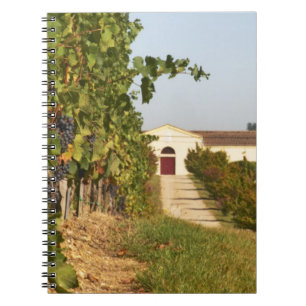 Vineyards, petit verdot vines and the winery in spiral notebook