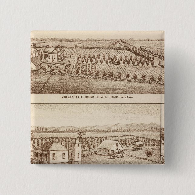 Vineyards, ranches, Tulare Co, Calif 15 Cm Square Badge (Front)