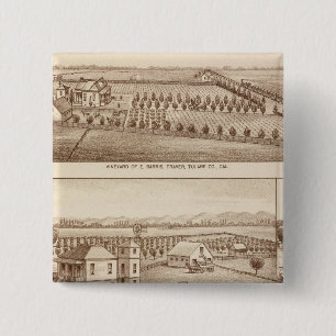Vineyards, ranches, Tulare Co, Calif 15 Cm Square Badge