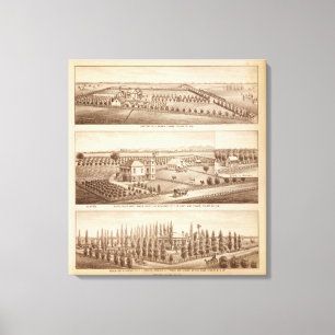 Vineyards, ranches, Tulare Co, Calif Canvas Print