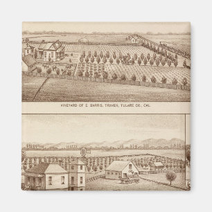 Vineyards, ranches, Tulare Co, Calif Magnet