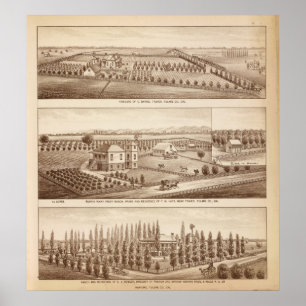 Vineyards, ranches, Tulare Co, Calif Poster