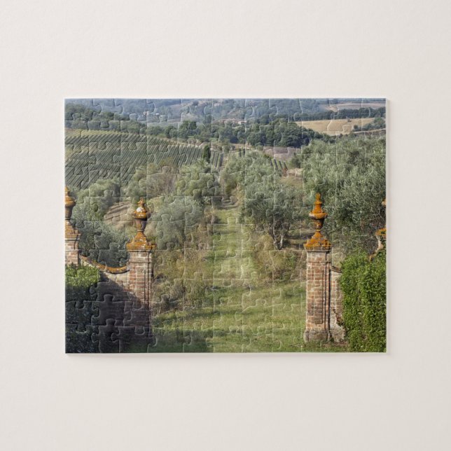Vineyards, Tuscany, Italy Jigsaw Puzzle (Horizontal)