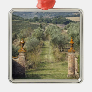 Vineyards, Tuscany, Italy Metal Tree Decoration