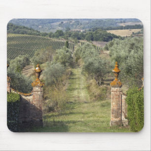 Vineyards, Tuscany, Italy Mouse Pad